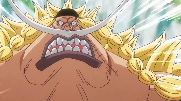 [One Piece] Let's take a look at Whitebeard's son! He is the new Shichibukai! How strong is he?