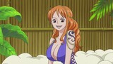 [One Piece] Perjalanan pertumbuhan Nami selama 20 tahun