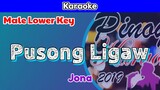 Pusong Ligaw by Jona (Karaoke : Male Lower Key)