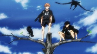 Hoạt hình|[Haikyuu!!]Cắt ghép phân cảnh siêu đỉnh của các thành viên