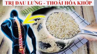 BÀI THUỐC QUÝ trị ĐAU LƯNG, SƯNG ĐAU KHỚP GỐI, CHỐNG LOÃNG XƯƠNG, SUY GIÃN TĨNH MẠCH - LOW BACK PAIN