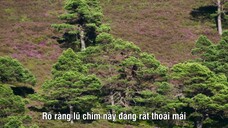 Quần Đảo Anh Hoang Dã EP 2 [Sub Việt]