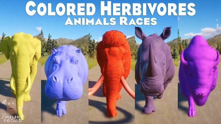 Colored Mammoth, Hippo & All Herbivores Animals Races in Planet Zoo | Planet Zoo Animals Races 🦛🐂🐘
