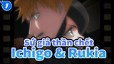 [Sứ giả thần chết] Ichigo & Rukia Ở bên nhau (phần 1)_1