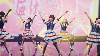 Wonder Starter - TINGS  Live Performance BD