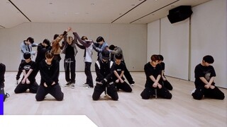 ENHYPEN 2024 Golden Disc Awards Performance Practice