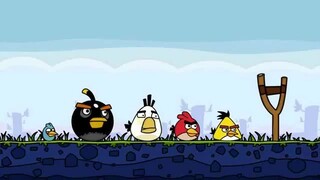 Funny Angry Birds Cartoon Animated Video!