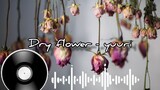 [cover] dry flower - yuuri (soraru ver) #JPOPENT