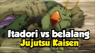 Perluasan domain Gojo, Itadori vs Belalang sembah🦗 | Review Anime