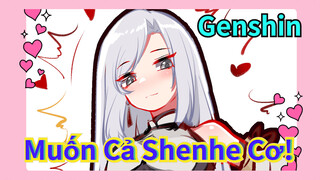 Muốn Cả Shenhe Cơ!