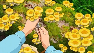 POV; living like an anime