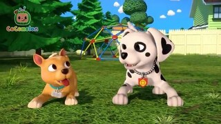 BINGO Puppy Play Date!