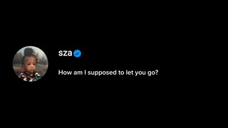 SZA - NOBODY GETS ME (lyrics)