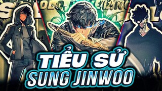 SOLO LEVELING | TIỂU SỬ HOÀNG ĐẾ BÓNG TỐI SUNG JINWOO - TINH HOA HỘI TỤ, PHỤ NỮ RẤT YÊU!