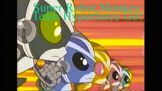 Super Robot Monkey Team Hyperforce Go! Profiles