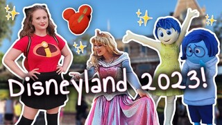 Disneyland 2023 BIRTHDAY TRIP! | AnyaPanda Vlogs