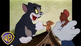 Tom und Jerry auf Deutsch 🇩🇪 | Liebende Freinde ❤️ | Valentinstag | @WBKidsDeutschland​