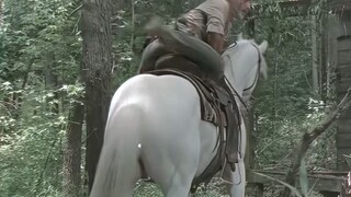 bjorrr