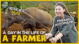 What It Takes to be a Farmer in the Philippines! 🇵🇭👩‍🌾 | TRABAHO EP. 2