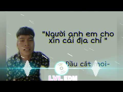 Đầu Cắt Moi Remix - Vinas × daucatmoi [LVL EDM]