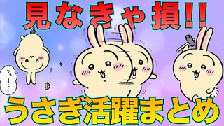 【ちいかわ】うさぎ活躍エピソードまとめ【ちいかわ考察＆ちいかわ解説】