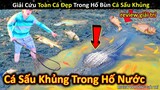 Giải Cứu Đàn Cá Cực Đẹp Trong Hố Bùn Bẫy Cá Sấu Khủng Lồ || Review Giải Trí Đời Sống