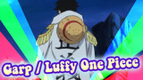 Garp: You, Luffy, Becoming A Navy Is The dream of My Life | Epic / Garp/ Luffy