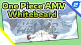 Rasakan Semangat Gigih & Kelembutan Orang Tua! | One Piece Whitebeard_2