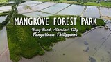 MANGROVE FOREST PARK - Alaminos City, Pangasinan | Travel Video + Guide