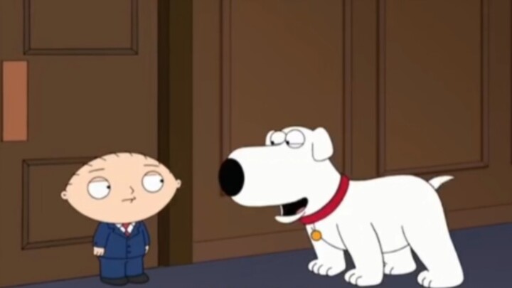 Anjing putih bodoh Brian