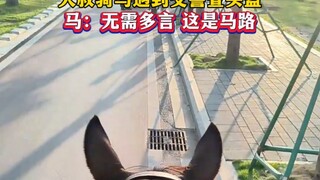 大叔骑马遇到交警查头盔，马：无需多言 这是马路