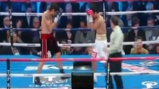 Manny Pacquiao vs. Antonio Margarito (2010)