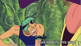 It is truely an indiot Zoro version :))))