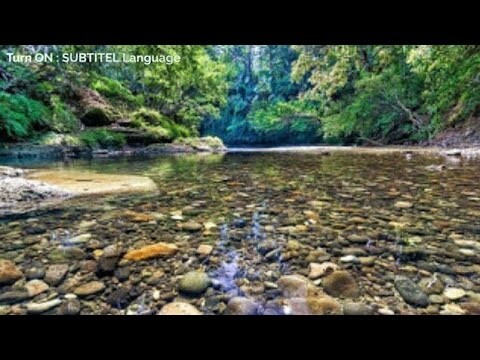 TOROJOGAN PANGANDARAN #trip_adventure_cinematic 🎵