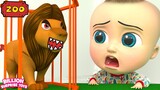 Kami akan pergi ke lagu Zoo | Lagu dan Lagu Anak untuk Anak | Miliar Mainan Kejutan