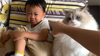 Ketika saya ingin memberi pelajaran kepada anak-anak saya, kucing saya menjadi cemas. Saya sangat me