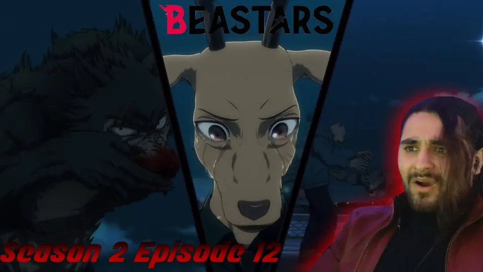 Beastars Season 2 Episode 12 Reaction That Was Interesting Bilibili