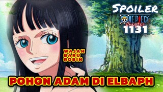 POHON ADAM DI ELBAPH ⁉️ ROBIN BERTEMU SAUL | SPOILER ONE PIECE 1131 TERBARU INDONESIA