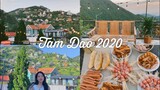 🌲 Một chiếc Vlog thật chill tại Tam Đảo- Travel Vlog