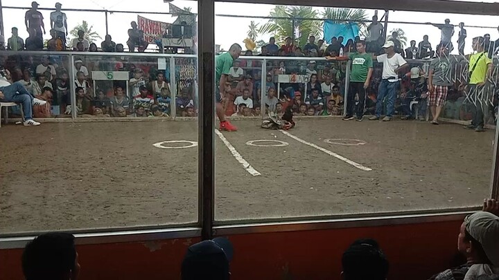 banaybanay davor