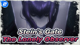 [Stein's Gate] The Lonely Observer_2
