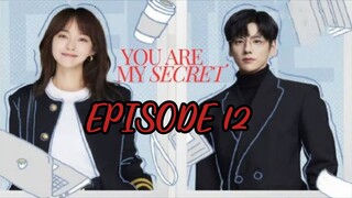 You Are My Secret ep 12 (sub indo)