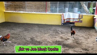 JBK and Haskell Cocks
