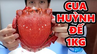 LẦN ĐẦU ĂN CUA HUỲNH ĐẾ 1KG || Vũ Liz TV