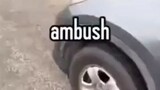 Ambush!!!