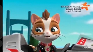 Paw Patrol Musim 9 Episode 2 Bahasa Indonesia Vision+