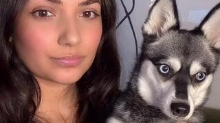 Part 3! Who else’s dog does this? 🙋🏽‍♀️ LearnOnTikTok dogfacts cutedog