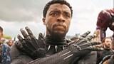 Tưởng nhớ chiến binh báo đen T'challa Chadwick Boseman #Marvel