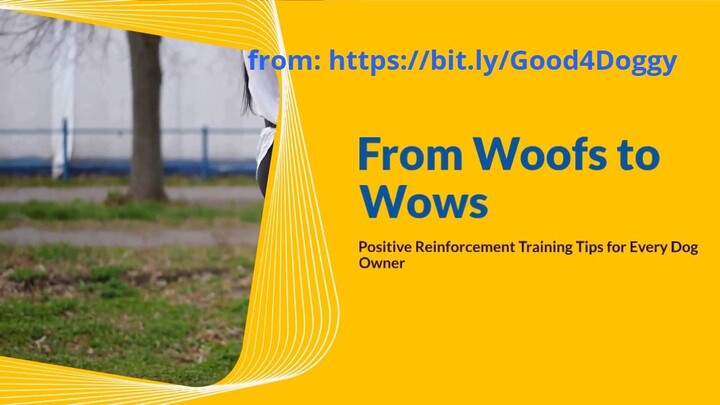 From Woofs to Wows - Positive Reinforcement Training Tips for Every Dog Owner
