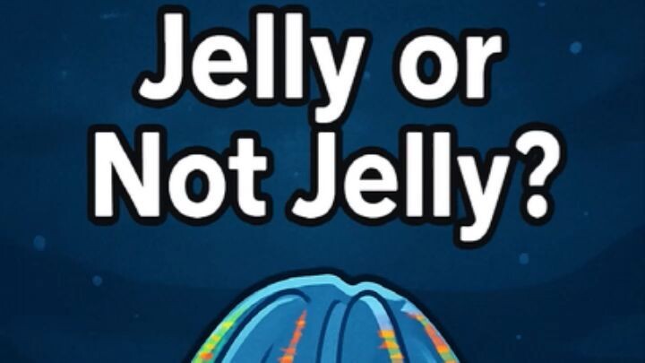 Not a Jellyfish? Then What Is It?